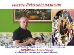Film a cigány vajdákról