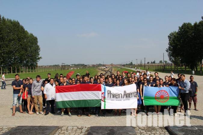 ternYpe Birkenau